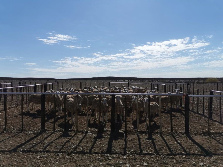 3 Bedroom Property for Sale in Loeriesfontein Northern Cape